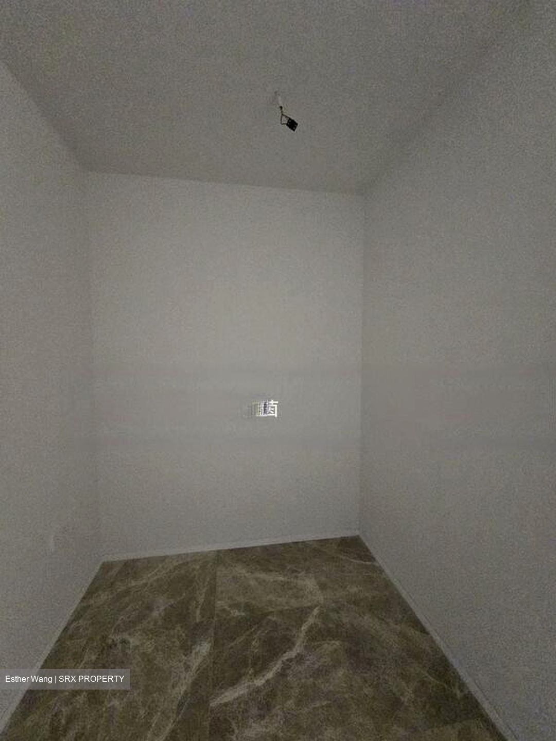 Amber Park (D15), Condominium #423673361